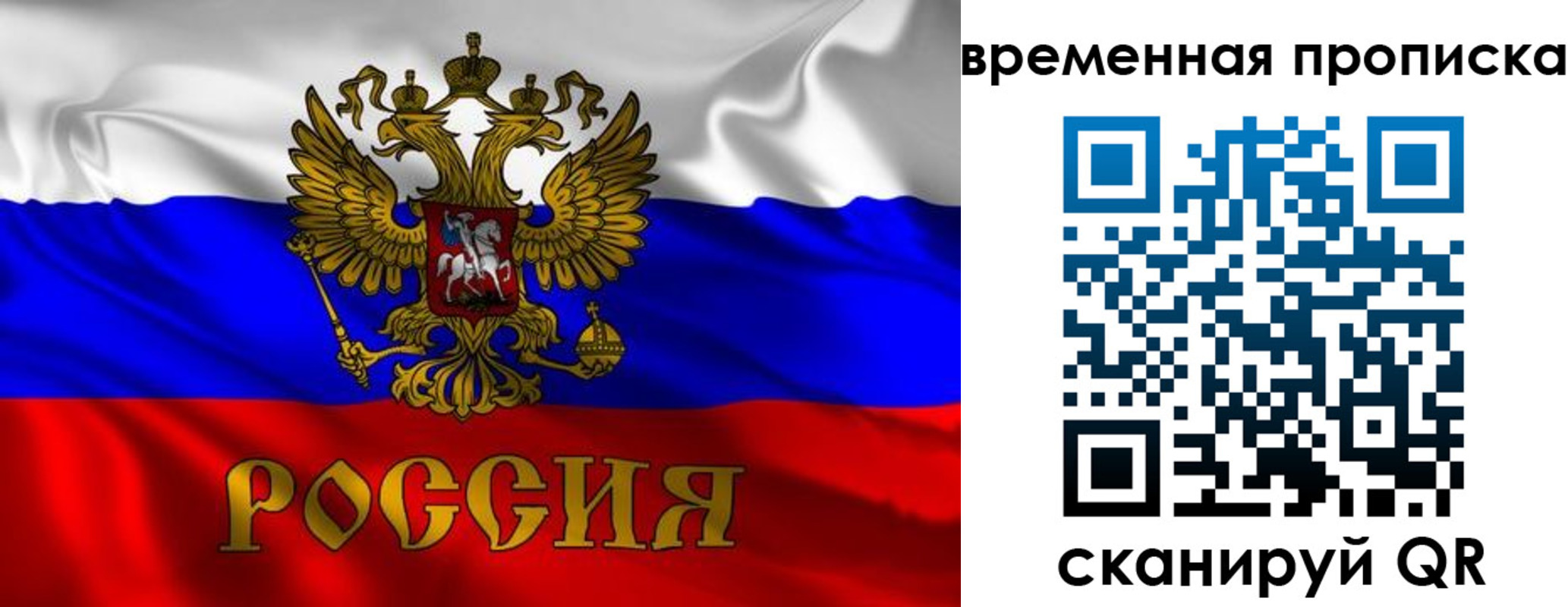 прописка законно в Ржеве